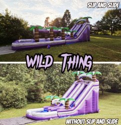 40782 1 1694820288 22FT Wild Thing Double Lane Water Slide With Light-Up Arch