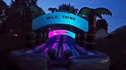 22FT Wild Thing Double Lane Water Slide With Light-Up Arch