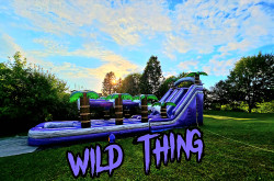 40734 1745641748 22FT Wild Thing Double Lane Water Slide With Light-Up Arch